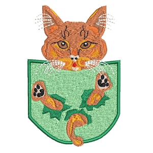 Haustiere in der Tasche - Ingwer Katze - Stickdatei