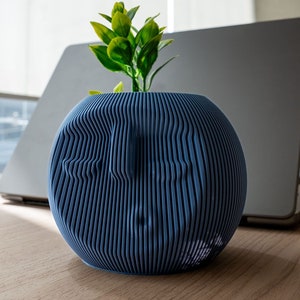 May include: A blue, spherical vase with a distinctive, ridged pattern. It contains a small green plant with multiple leaves. The vase rests on a wooden surface, with a laptop visible in the background.