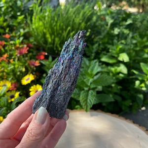 May include: A raw, elongated piece of iridescent kyanite crystal featuring a jagged, fibrous texture. The mineral displays a dark, metallic base color with vibrant, shimmering flashes of blue, purple, and green light across its surface.