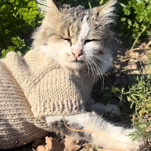 May include: A gray and white cat wearing a beige knitted sweater is lying on the ground. The cat has its eyes closed and is relaxed.