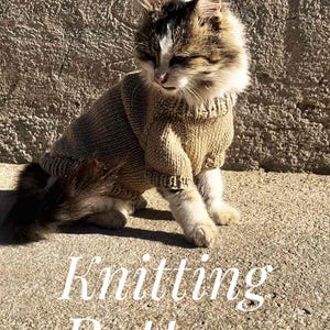 Knitting Pattern Cat Sweater, Pet Clothes Pattern, Basic Cat Sweater Knitting Pattern, Jumper For Pets Knitting Pattern, Cat Jumper Pattern