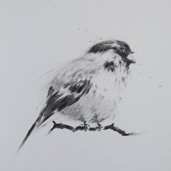 Vogel Zeichnung Tier Zeichnung Minimalismus, Original A4, fixiert, stilisiert, Zeichnung Vogel, Fusain, Kohle