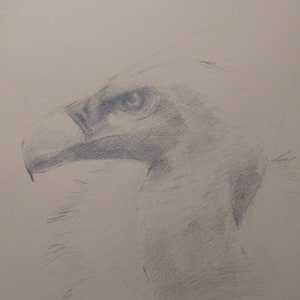 Original Graphite Portrait in A5