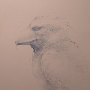 Original Graphite Portrait in A5