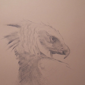 Original Graphite Portrait in A5