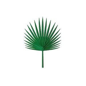 Peut inclure: Une seule feuille de palmier verte avec une longue tige.