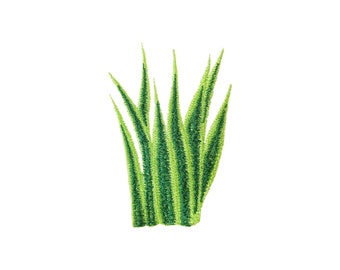Machine Embroidery Design Sanseveria Plant. Digital Embroidery Pattern File Tropical Leaf