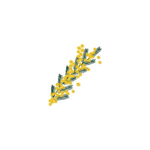 Machine Embroidery Design Mimosa Branch Leaves and Flowers - Digital Embroidery Pattern Acacia Dealbata