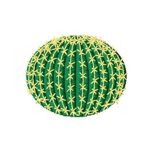 Op de afbeelding: Een ronde cactus met een stekelige textuur, groen en geel van kleur.