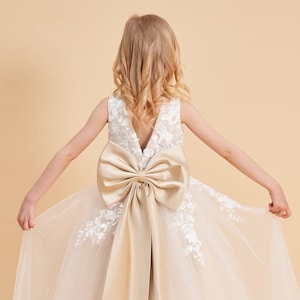 Lace Applique Tulle Flower Girl Dress with Big Tail Bow