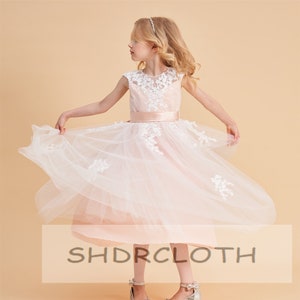 Blush Lace Flower Girl Dress: Tulle Tutu, Illusion Bodice