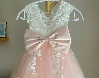 Lace Flower Girl Dress: Pink Tulle Tutu, Applique Birthday Dress
