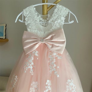 Lace Flower Girl Dress: Pink Tulle Tutu, Applique Birthday Dress