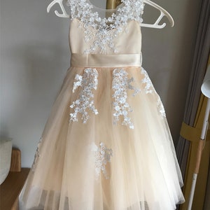 Champagne Princess Lace Straps Flower Sash Tulle Tea Length Toddler'S Tutu Dress main image 1