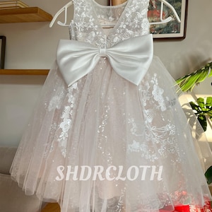 Blush Sparkle Flower Girl Dress:  Illusion Lace Applique Tutu