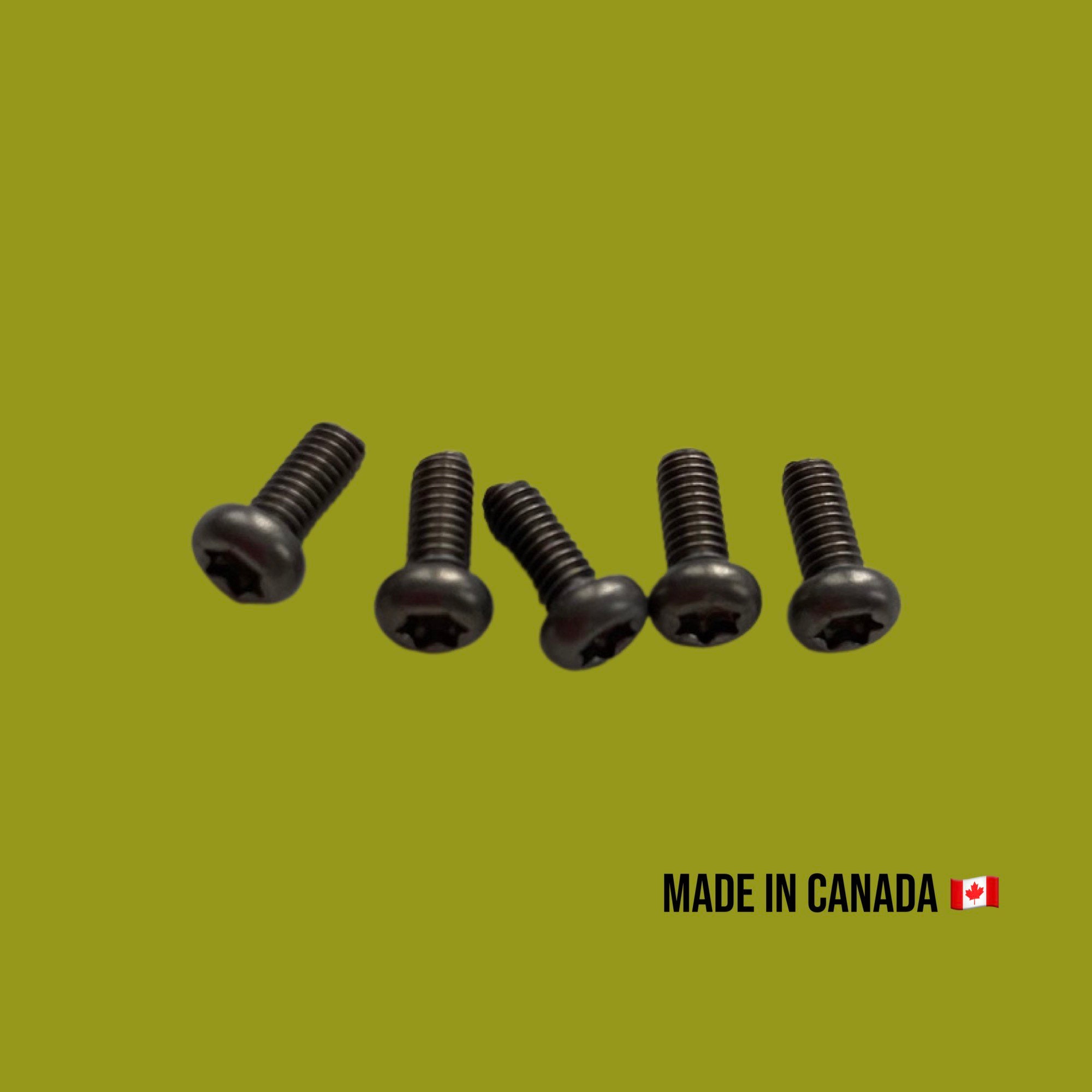 M2.5x6mm Socket Hex 2.0 Screws • Titanium Grade 4 • Canada Made • 2x 4x 6x Pack Options