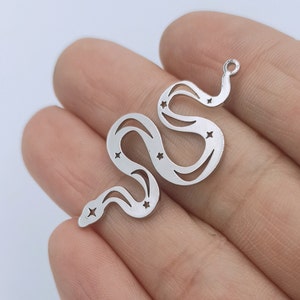 Könnte beinhalten: Ein silberfarbener Metallanhänger in Form einer Schlange mit ausgeschnittenen Sternendetails. Der Anhänger hat oben eine Öse zum Anbringen an einer Halskette oder einem Armband.