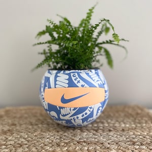 May include: A blue and white patterned Nike volleyball with an orange swoosh logo and the text "Just Do It" is used as a planter for a green fern plant.