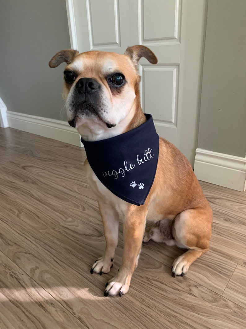 Pregnancy Announcement Dog Bandana Baby Announcement with Etsy