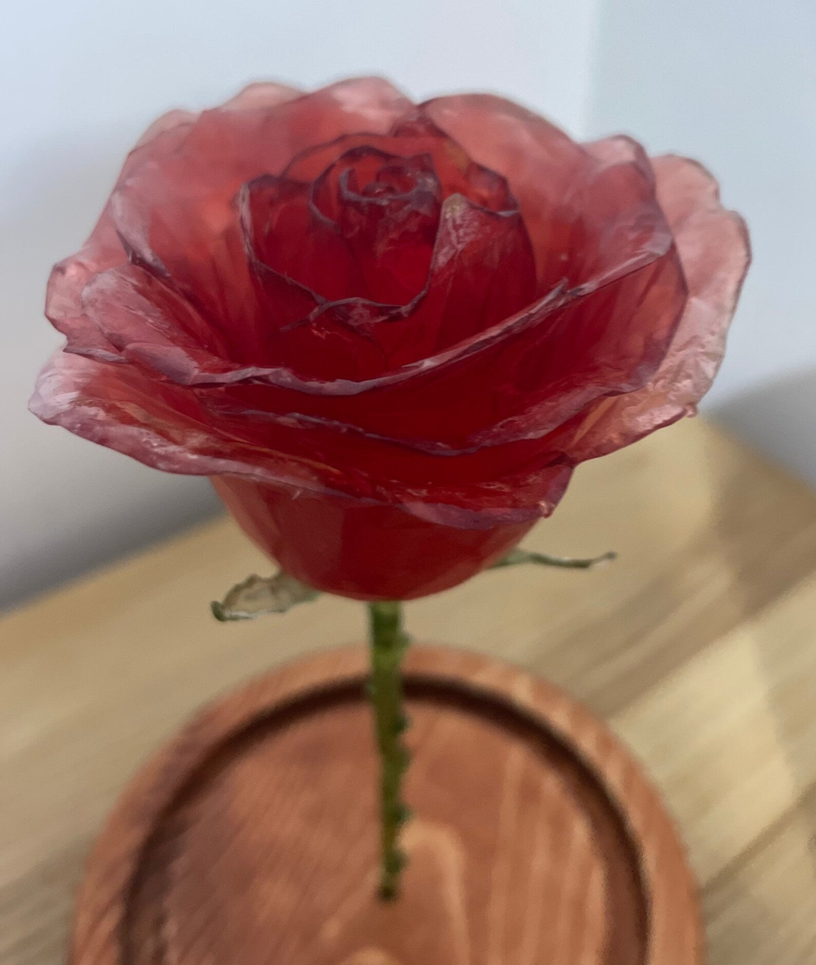 Beauty and the Beast Inspired Rose in a Jar Etsy