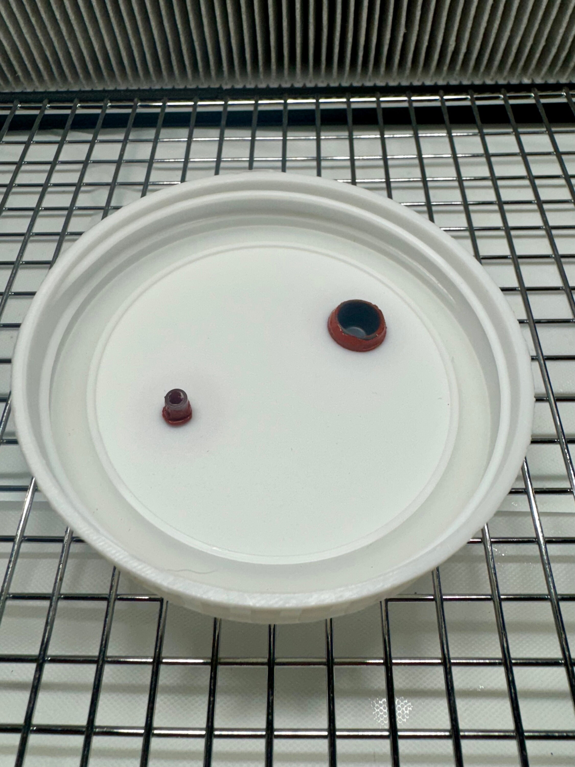 8x Myconook Autoclavable Modified Mushroom Grain Jar Lids Plastic Wide