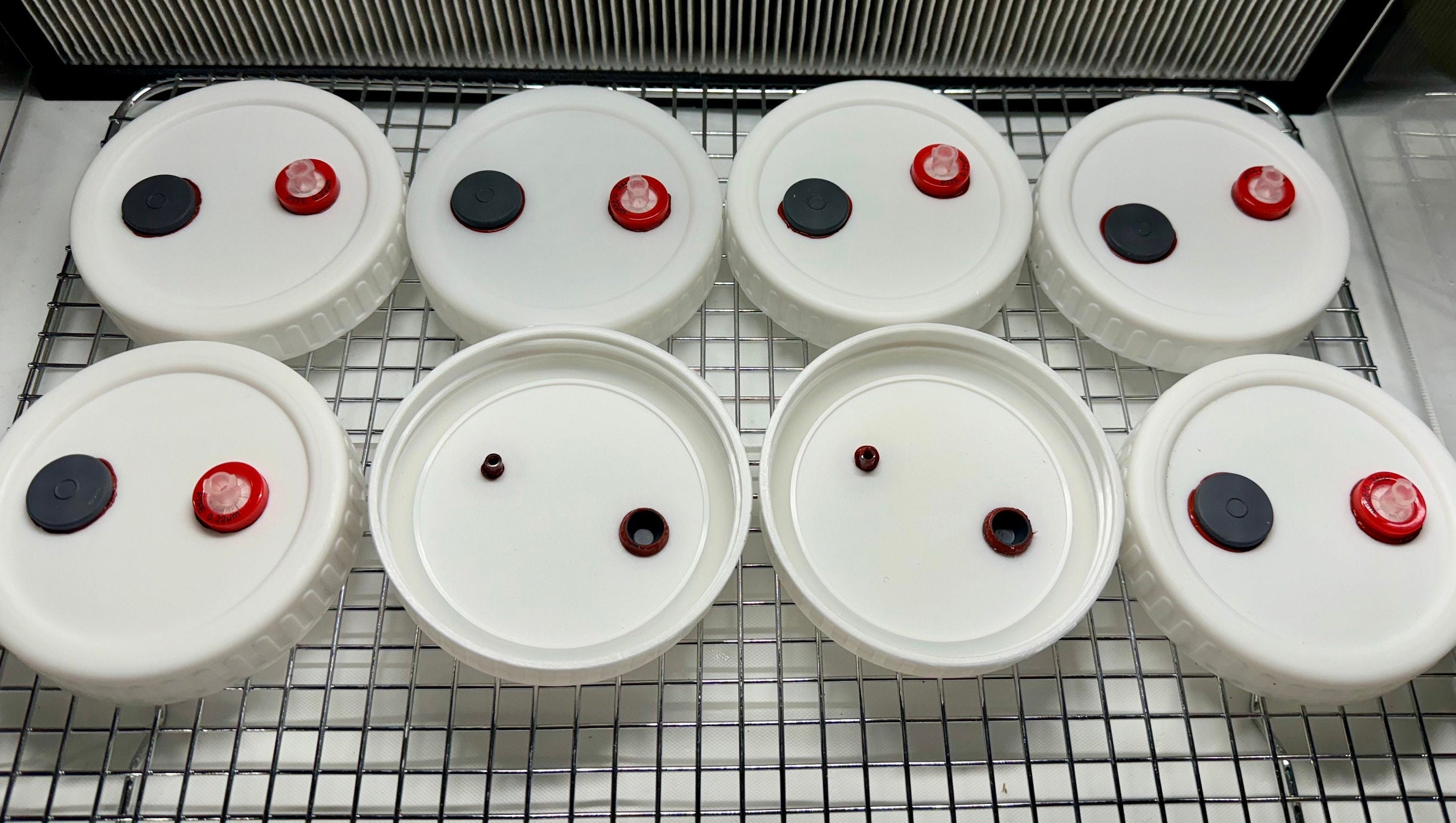 8x Myconook Autoclavable Modified Mushroom Grain Jar Lids Plastic Wide