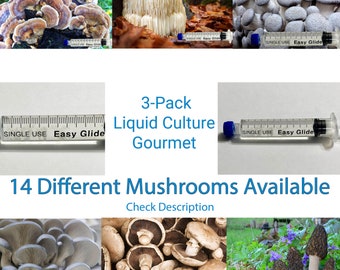 3 Mushroom Liquid Culture Syringes - Gourmet Strains, 12ml, Mycelium Kit, Easy Inoculation, Sterile & Contaminant-Free - Myconook