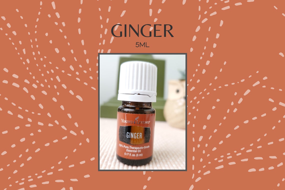 Ginger Essential Oil 5ml Young Living Etsy
