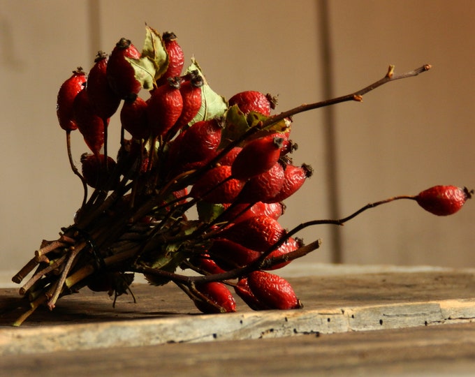 Dried Red Berries Dried Rose Hips Dried Rose Haw Dried Rose Hep Etsy