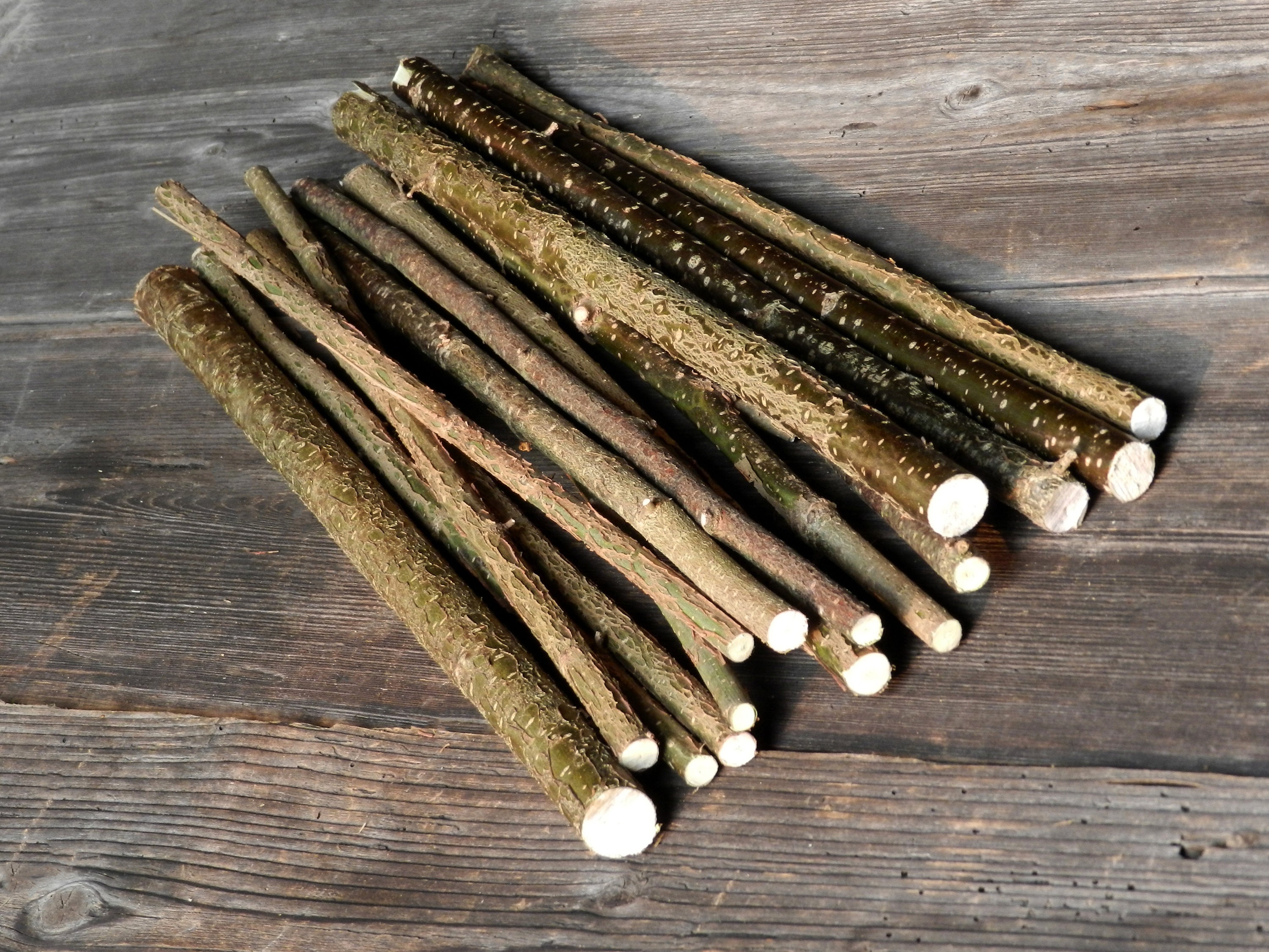 Hazel Branches Hazel Logs Hazel Twigs Wood Logs Tree Etsy