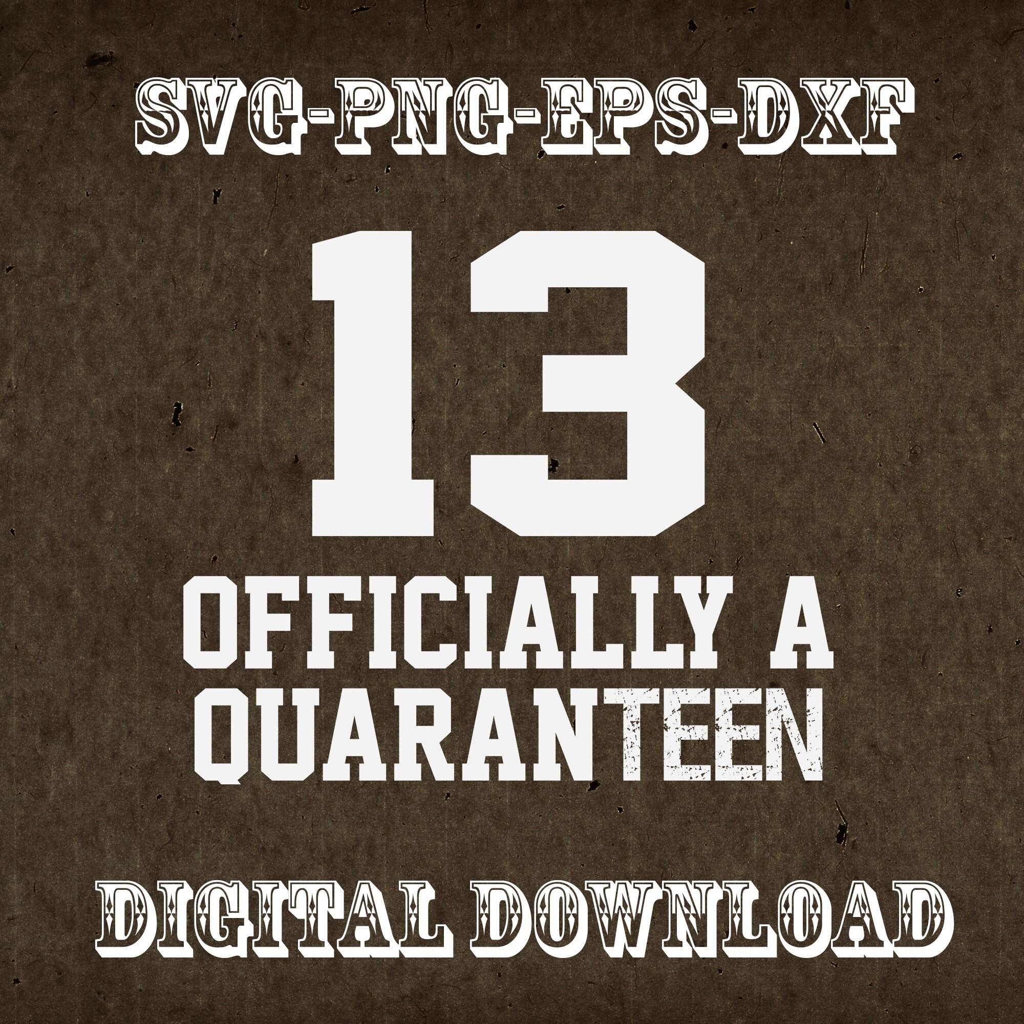 13th Officially A Quaranteen Funny 