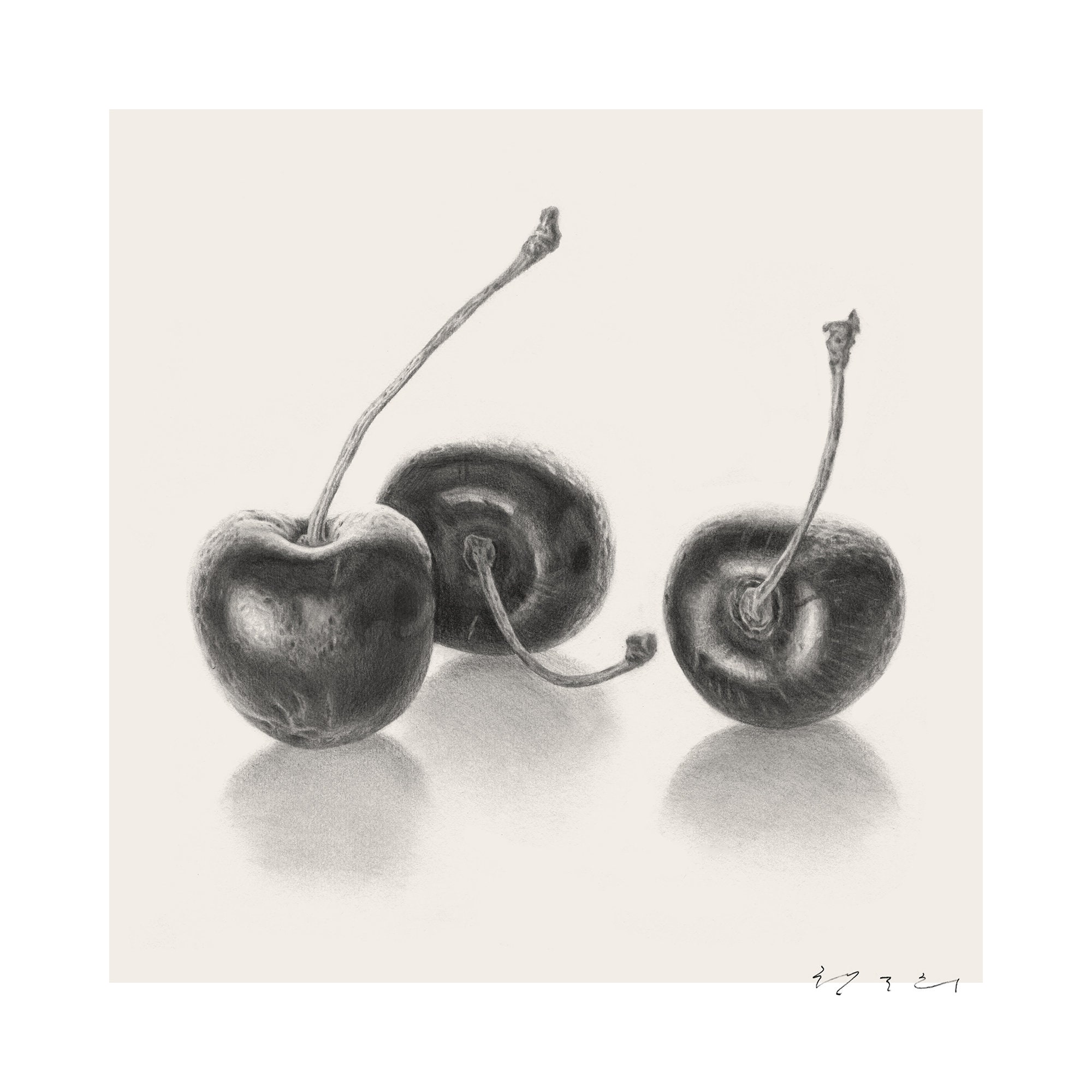 Cherry Pencil tekening Art Realistische Kunst Downloadbaar Etsy