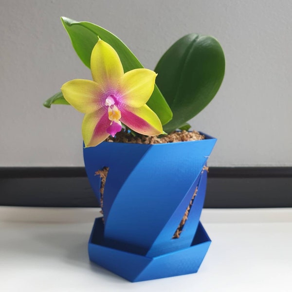 Orchid Pot Pink, Blue or Purple 2" 3" 4" 5" 6", 3D Printed Pot with Slots