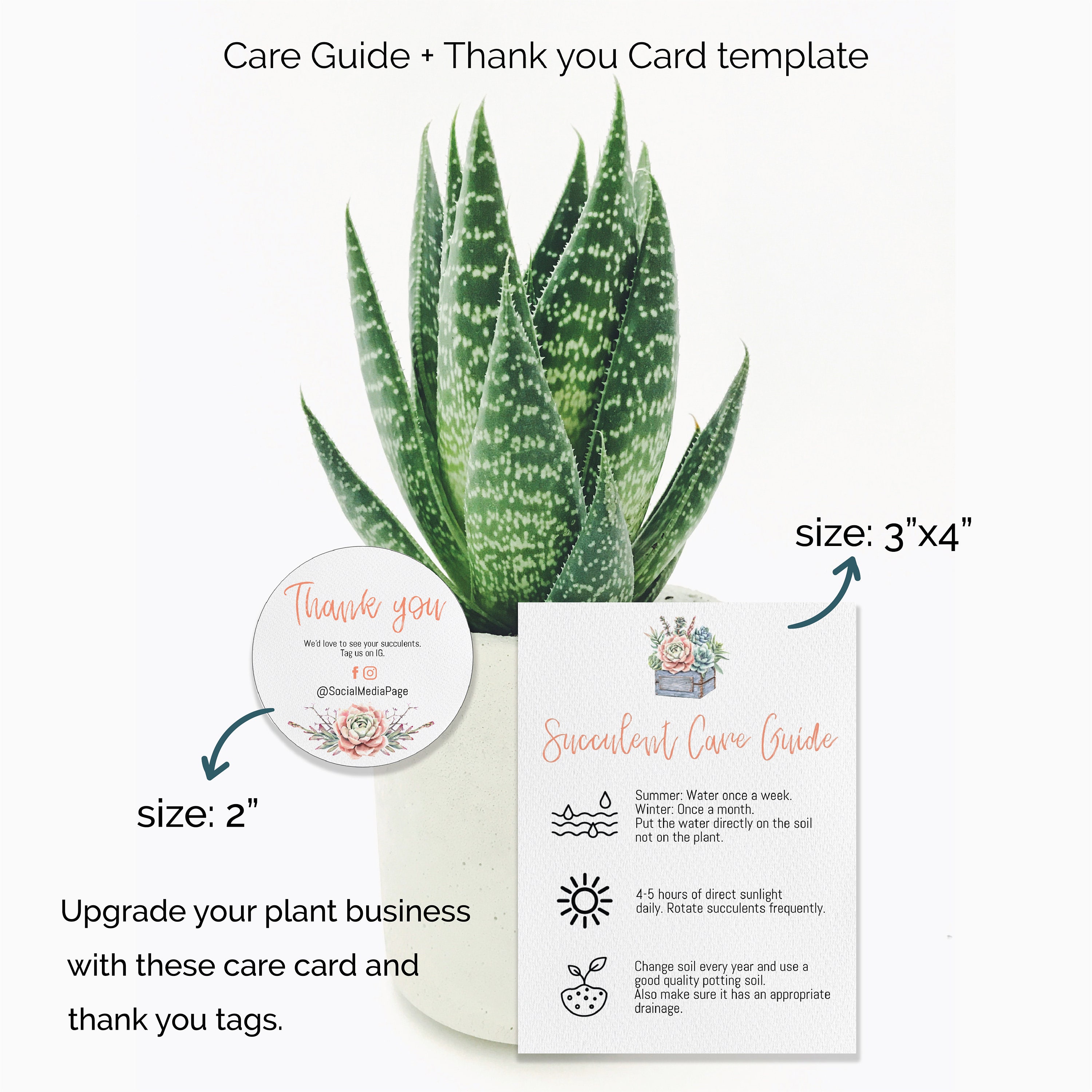 Succulent Care DIY Template 0416 Plant Instructions template Cactus