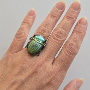 Peut inclure: Une bague originale ornée d'un grand scarabée irisé. La carapace du scarabée présente des nuances de vert et de bleu, sur un anneau en métal sombre. Un bijou audacieux et saisissant.