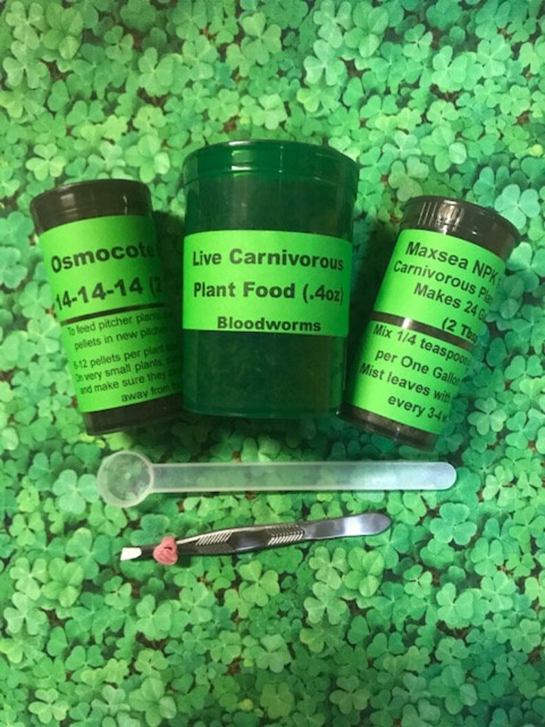 Live Carnivorous Plant Food Fertilizer COMBO MaxSea Etsy