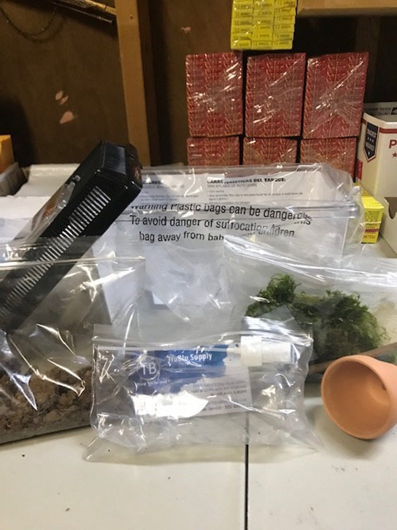 Complete Live Pet Land Snail Habitat Kit Small 9 1/8 Etsy