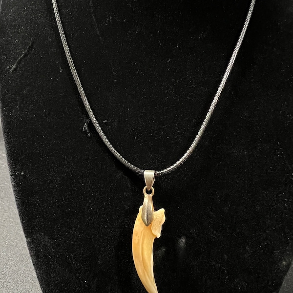 Real Badger Claw Necklace w/Cap 18" Handmade & Adjustment Chain