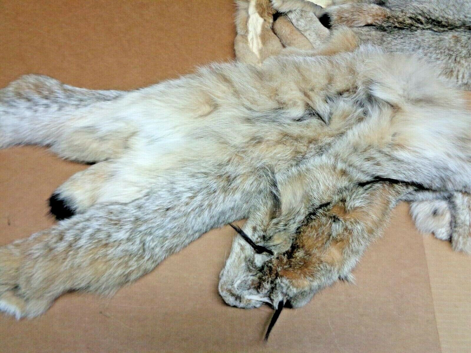 Real XL Tanned Canadian Lynx Pelt Hide Heavy Winter Furred Etsy