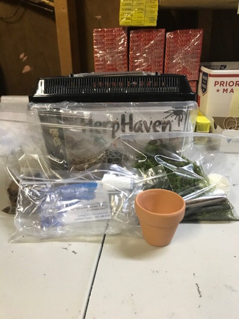 Complete Live Pet Land Snail Habitat Kit Small 9 1/8 Etsy