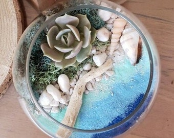 Beach Theme - DIY Terrarium Kit | Succulent Terrarium, Plant Lover Gift, Team Building Activity, Customizable Create-Your-Own Craft Kit