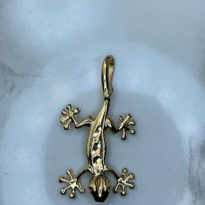 May include: A gold-colored pendant in the shape of a lizard. The lizard has detailed features, including a textured body and detailed feet. The pendant is designed with a loop at the top for a chain. The lizard is facing downward.