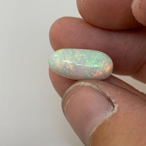 May include: An oval-shaped cabochon gemstone with a smooth, polished surface. The stone features a milky white base color with vibrant flashes of green, orange, and yellow play-of-color throughout its structure, creating a bright, iridescent effect.