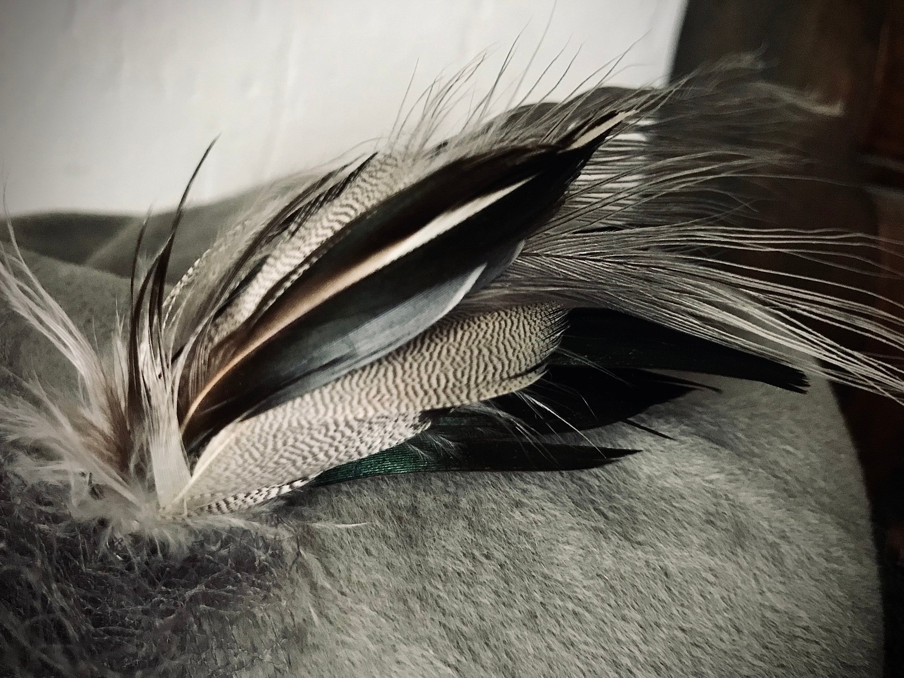 Rare vintage hat with mesh veil and feather in grey Rare Vintage Hat With Mesh Veil and Feather in Grey - Etsy main image 2