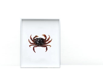 Art Prints for Food Lovers | Crab Watercolor Print | Kitchen Wall Art |