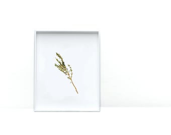 Art Prints for Food Lovers | Thyme Watercolor Print | Kitchen Wall Art |