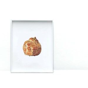 Könnte beinhalten: Ein gerahmtes Foto von einem einzelnen, braunen, faltigen, knollenförmigen Objekt mit einem gelben Zentrum. Das Objekt wird auf einem weißen Hintergrund gezeigt.