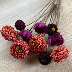 Mini cabezas de dalia secas en tallos (10-15 unidades)