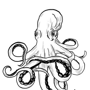 Octopus Digital Art File