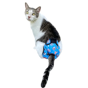 Blue Kitty Knickers Washable Cat Stud Pants Diaper Nappy Undies Underwear Male or Female Reusable Adjustable Feline Physiological Nappies image 1